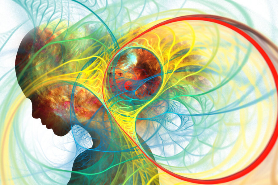 Decifrare il Linguaggio del Corpo: Epigenetica, Meccanobiologia e i Segreti della Salute